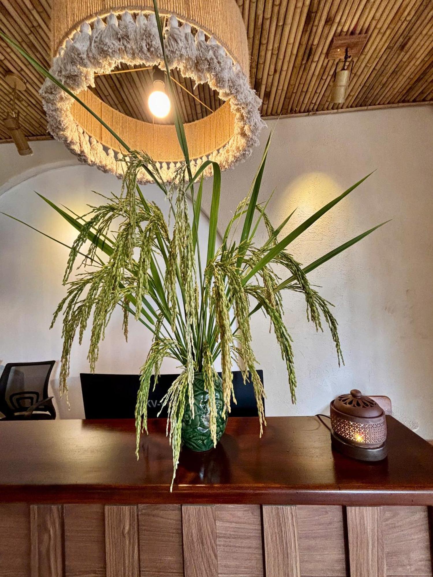 Truong Giang Boutique Hotel Lang Mon Екстериор снимка